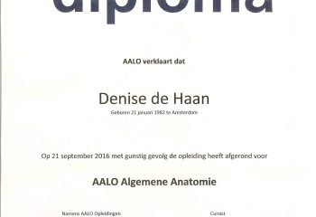 AALO - Algemene-Anatomie